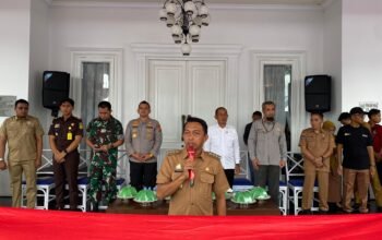 Karnaval Brigade Pangan di Sidrap: Semarakkan ki HUT RI, Gelorakan IP300
