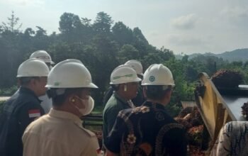 Koperindag Sulbar Pastikan ki Tera Ulang Timbangan Sawit di Pasangkayu dan Mateng Tertib