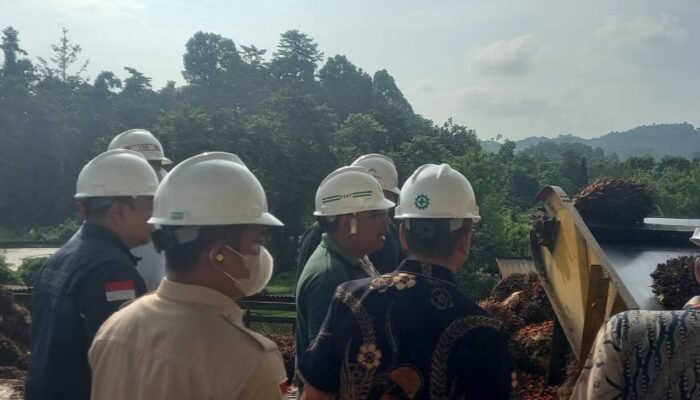Koperindag Sulbar Pastikan ki Tera Ulang Timbangan Sawit di Pasangkayu dan Mateng Tertib