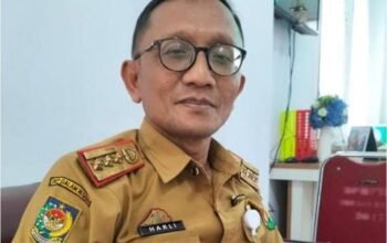 Kadis DPMPTSP Toraja Utara, Harli Patrianto