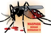 Waspada Peningkatan Kasus DBD, Masyarakat Diminta Perkuat ki Gerakan 3M Plus