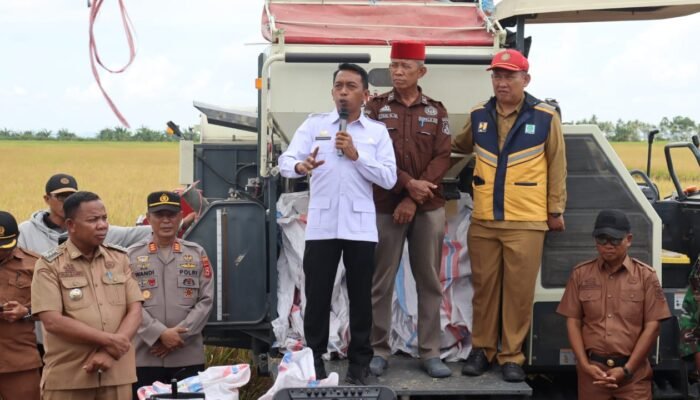 Bupati Sidrap Panen Raya dan Evaluasi ki Pertanaman di Panca Lautang