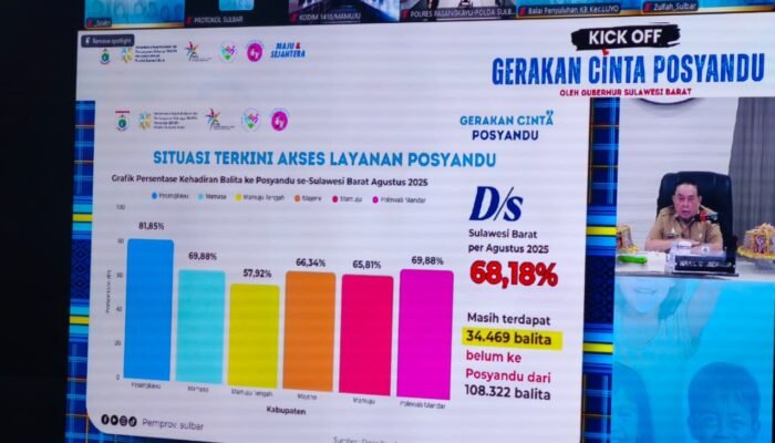 Dinkes Sulbar: 20 Ribu Balita Masih Stunting ki, Gerakan Cinta Posyandu Jadi Harapan
