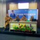 Wujudkan Layanan Prima, BKD Sulbar Kumpulkan ki Seluruh Pejabat Bahas Penguatan SELIDIK dan SIPOKANNYANG