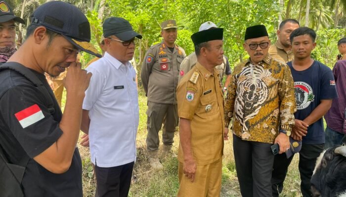 Junda Maulana Dampingi ki Gubernur Sulbar Pastikan Bantuan Pertanian Tepat Sasaran di Polman