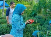 Mantap ki Tauwwa Aksi Nyata ASN Wujudkan Ketahanan Pangan Keluarga