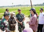 Dandim 1406/Wajo Dampingi Kunjungan Kerja Itjen Kementerian Pertanian RI dan Itjenad Tinjau Proyek Oplah Rawa di Wajo