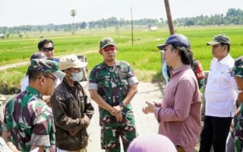 Dandim 1406/Wajo Dampingi Kunjungan Kerja Itjen Kementerian Pertanian RI dan Itjenad Tinjau Proyek Oplah Rawa di Wajo