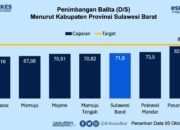 Capaian Penimbangan Balita di Sulbar Capai 71,8 Persen, Bukti Nyata ki Gerakan Cinta Posyandu Bergerak