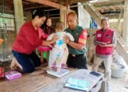 Babinsa Koramil 1406-08/Sabbangparu Dampingi Kegiatan Posyandu di Desa Bentenglompoe