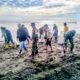 Koramil 1406-10/Pitumpanua Ajak Warga Bersihkan Pantai Siwa, Wujudkan Cinta Lingkungan dan Laut yang Sehat
