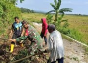 Babinsa Koramil 1406-10/Pitumpanua Gelar Karya Bakti Bersihkan Drainase di Desa Buriko