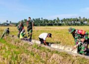 Dukung Ketahanan Pangan, Koramil Sabbangparu Benahi Saluran Irigasi di Sompe