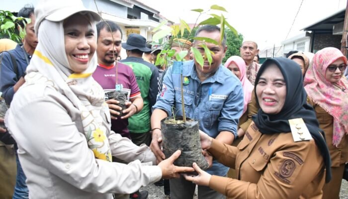 Bupati Sinjai Tanam Pohon, Ajak Warga Wujudkan Lingkungan Hijau dan Sejahtera
