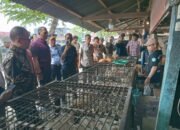 Pantau Harga Pangan, Gubernur Sulbar Temukan ki Kenaikan Harga Bawang Merah dan Ayam