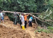 TRC BPBD Sidrap Tinjau ki Longsor di Leppangeng, 384 KK Terdampak