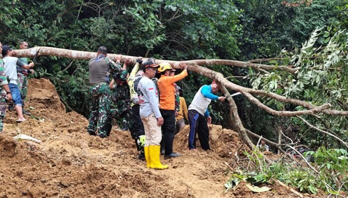 TRC BPBD Sidrap Tinjau ki Longsor di Leppangeng, 384 KK Terdampak