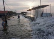 Pesisir Sulbar Berpotensi ki Banjir Rob 2-6 Januari 2026, BPBD Sulawesi Barat Imbau Tingkatkan Kewaspadaan
