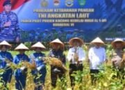 Wabup Maros dan KODAERAL VI Makassar Panen Raya Kedelai MIGO AI, Peringati HUT TNI ke-80