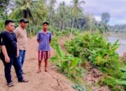 Anggota DPRD Wajo Tinjau Tanggul Jebol di Sabbangparu, Minta Tambang Pasir Dievaluasi