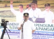 Presiden Umumkan Swasembada Pangan, Sulbar Catat ki Surplus Beras Hampir 70 Ribu Ton