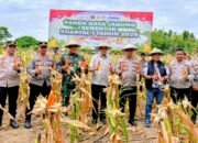 Zoom Meeting Panen Raya Jagung, Kapolres Wajo Tegaskan Dukungan Swasembada Pangan Nasional