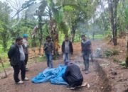 Cocoki Tauwwa Polisi Nabubarkan ki Judi Sabung Ayam Berkedok Hajatan di Bulukumba 