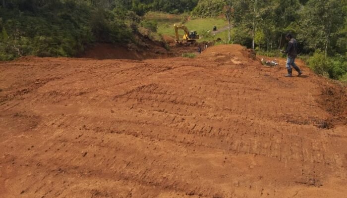 Pelaku Pengrusakan Kawasan Hutan Lindung di Pong Torra Sudah di Vonis Mi