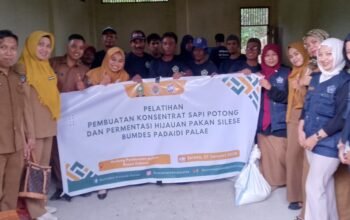 Genjot Program Ketahanan Pangan, BUMDes Padaidi Desa Palae Bekali Peternak Ilmu Pakan Modern