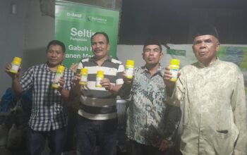 PT BASF Sosialisasi Penanganan OPT ri Desa Panakkukang