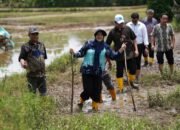 Wali Kota Munafri Respon Ki Aspirasi Warga, Rp 4 Miliar untuk Perbaikan Jalan di Romang Tongayya