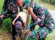 Koramil 1406-03/Maniangpajo Tanam Pohon Mahoni di Mattirowalie, Cegah Longsor di Bantaran Sungai