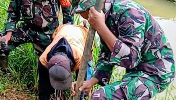 Koramil 1406-03/Maniangpajo Tanam Pohon Mahoni di Mattirowalie, Cegah Longsor di Bantaran Sungai