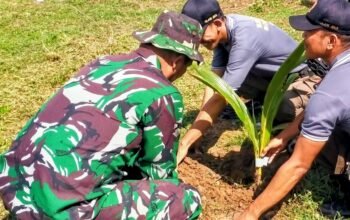 Koramil 1406-05/Majauleng Tanam Pisang dan Kelapa Bersama Warga Paria