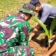 Koramil 1406-05/Majauleng Tanam Pisang dan Kelapa Bersama Warga Paria