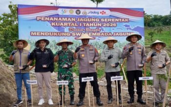 Dukung Program Pemerintah Menuju Swasembada Pangan di Wilayah, Polda Sulbar Gelar ki Aksi Tanam Jagung