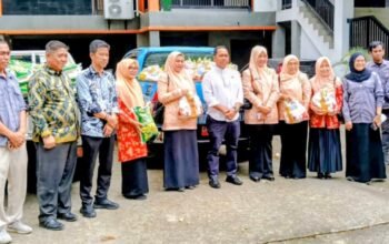 Bupati Wajo Lepas Ribuan Paket Sembako Murah, Pemkab Subsidi Harga untuk Ringankan Beban Warga
