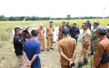 Panen Raya ki di Bontoharu, Ini Pesannya Bupati Andi Utta 