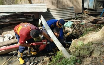 Ular Piton Mangsa Ternak Masyarakat, Damkar Sulbar Lakukan ki Penyisiran Intensif