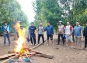 Polsek Eremerasa, Polres Bantaeng dan Polda Sulsel Bekerjasama Ki Gerebek Dugaan Judi Sabung Ayam