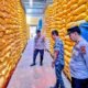 Kapolsek Maniangpajo Tinjau Stok Beras dan Jagung di Gudang Bulog, Pastikan Ketersediaan Aman