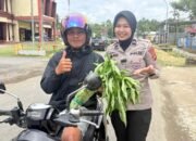 Panen Raya di Pekarangan Pangan Lestari Ditlantas, Hasilnya Dibagikan ki ke Pengendara Tertib Secara Gratis