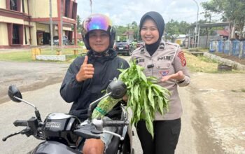 Panen Raya di Pekarangan Pangan Lestari Ditlantas, Hasilnya Dibagikan ki ke Pengendara Tertib Secara Gratis