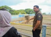 Kammanjo, Siapkan Pengerukan, Bupati Bantaeng Tinjau Cekdam Balang Sikuyu