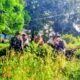 Koramil 1406-01/Tempe Laksanakan Karya Bhakti Pembersihan Talut Bersama Masyarakat