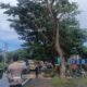 Polisi dan BPBD Bulukumba Evakuasi ki Pohon Tumbang, Akhirnya Arus Lalu Lintas Kembali Lancar