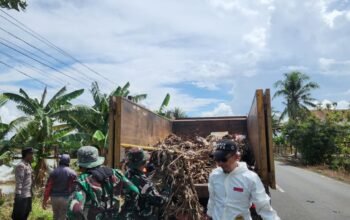 Koramil 1406-02/Tanasitolo Laksanakan Karya Bhakti Pembersihan Bahu Jalan Provinsi