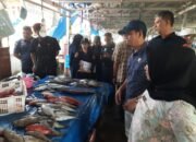 Wujudkan Ikan Sehat dan Berkualitas, Pemprov Sulbar Edukasi Ki Pedagang PPI Binanga Lawan Zat Kimia Berbahaya