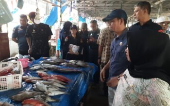 Wujudkan Ikan Sehat dan Berkualitas, Pemprov Sulbar Edukasi Ki Pedagang PPI Binanga Lawan Zat Kimia Berbahaya