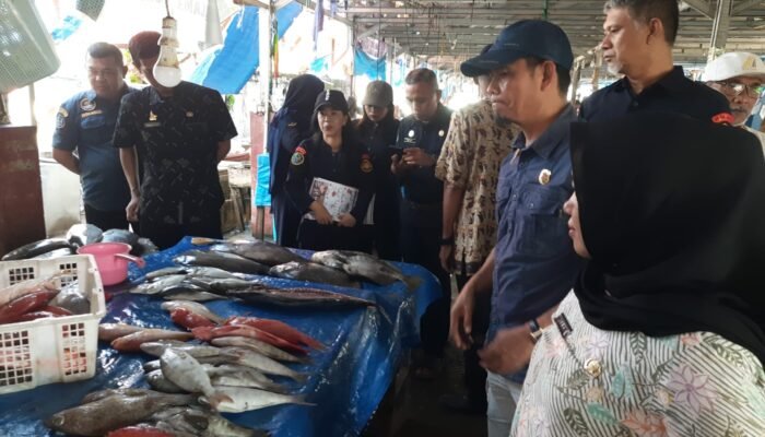 Wujudkan Ikan Sehat dan Berkualitas, Pemprov Sulbar Edukasi Ki Pedagang PPI Binanga Lawan Zat Kimia Berbahaya